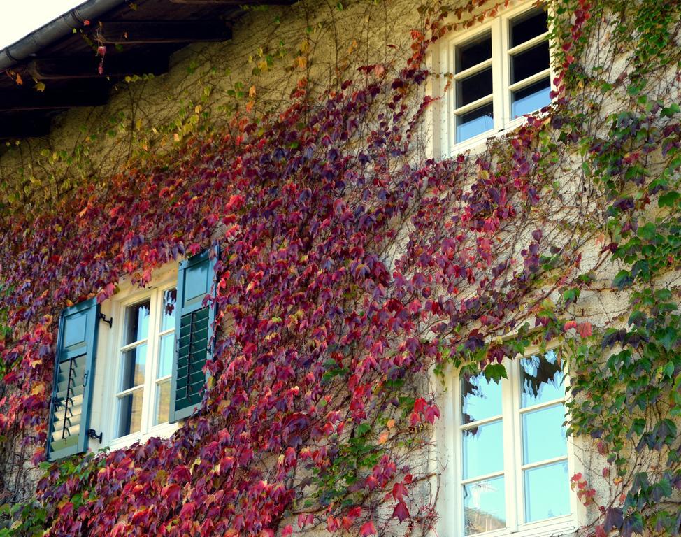 Apartment Im Garten 9 Gargazzone Exteriér fotografie